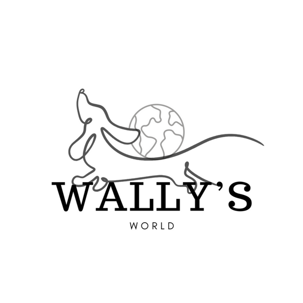 Logo for 'Wally's World' with a stylized character and globe on a white background